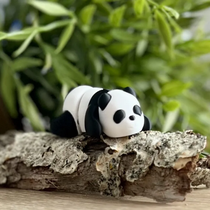Pandi - FiFlexx