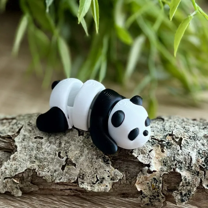 Pandi - FiFlexx