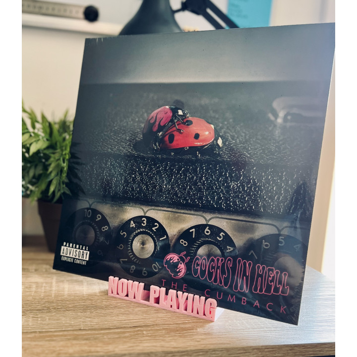 Support CDs & Vinyls